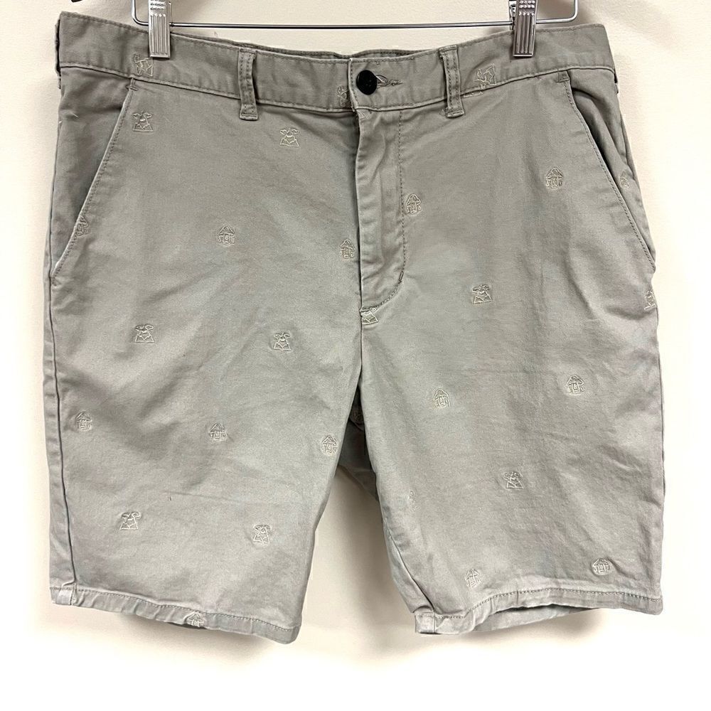 Pacsun embroidered tan shorts. Size 34